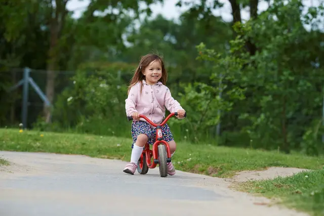 Mini Viking gåsykkel 2-4 år 