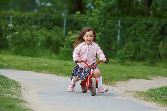Mini Viking gåsykkel 2-4 år 