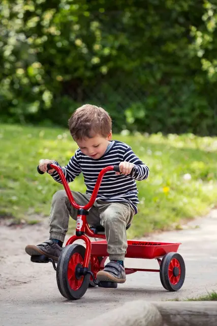 Mini Viking trehjulsykkel med lasteplan 2-4 år 