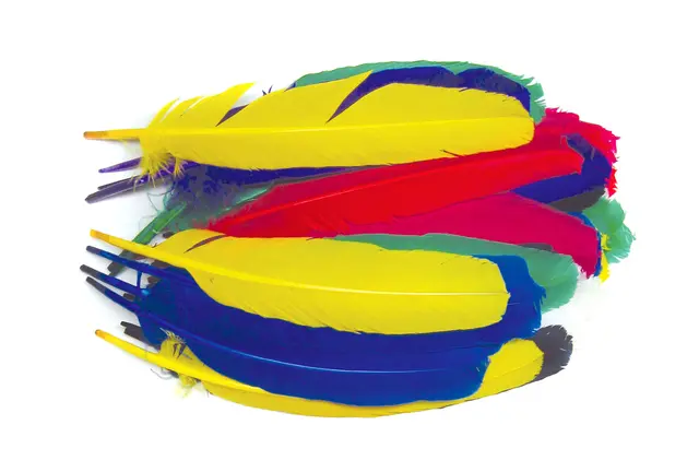 Indianerfjær L18 cm, 120 stk 