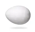 Vattegg hvite Ø60 mm, 25 stk