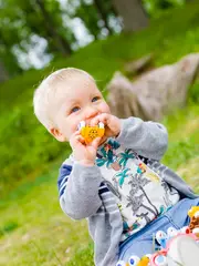 Viking søte kjøretøy L8 cm, 18 stk