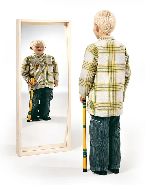 Speil konveks B50 x H120cm 