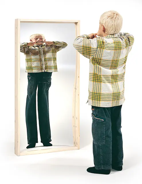 Speil konveks/konkav B50 x H120 cm 