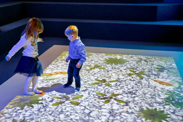 Kinebi interaktivt gulv Projektor og 100 aktiviteter 