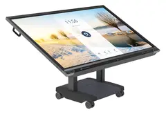 Prowise interaktiv touchscreen 55&#39;&#39; Full pakke