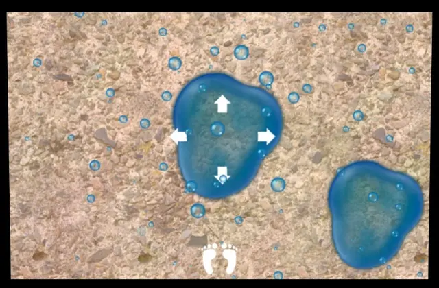 Interaktivt gulv bevegelsesmagi Tilleggspakke, 15 aktiviteter 