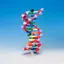 DNA modell elevsett