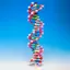 DNA modell dobbelsprial