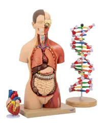 Biologilaboratorium sett