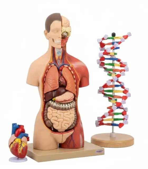 Biologilaboratorium sett 