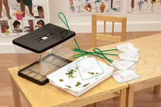 Håver L37 cm, 5 stk