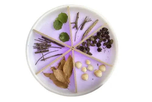 Inndeling til sensorisk utforskingsbord Ø65 x H5 cm 