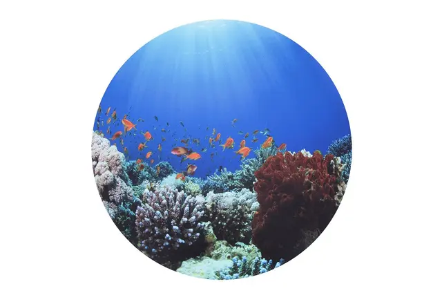 Mood lekematte hav Ø63 cm 