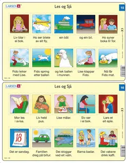 Les og sjå Nynorsk