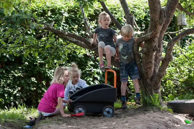 Circleline skubbevogn 3-6 år 