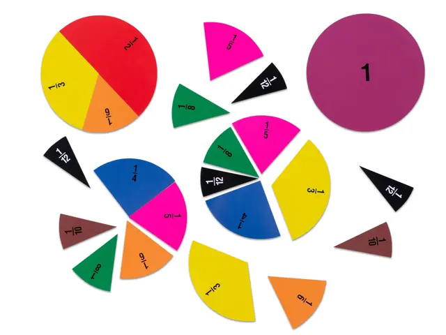 Brøkdeling av sirkel magnetisk Ø20 cm 