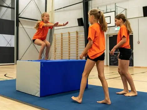 Saltokloss B60/80 x H130 cm 