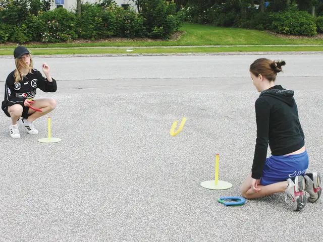 Hesteskospill 6 deler 