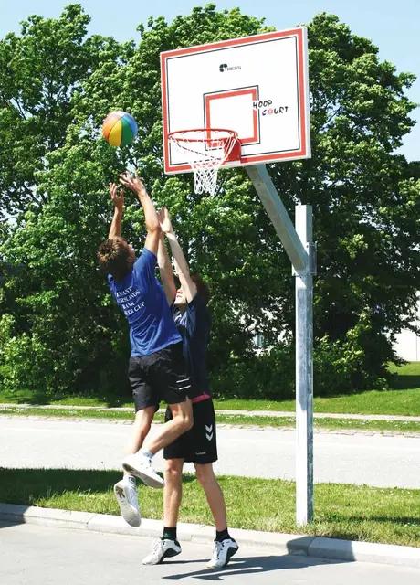 Street basketballstativ med dunkekurv L162 x B122 x H367 cm 