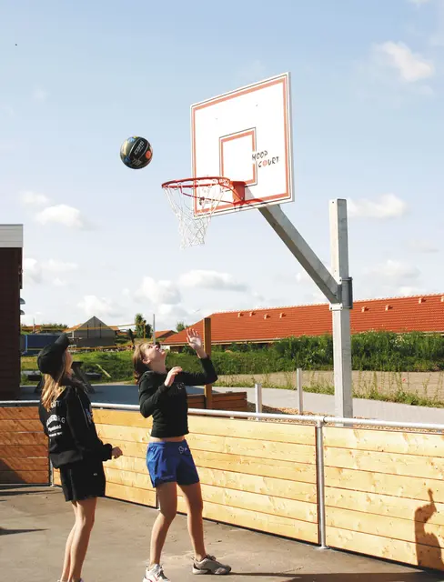 Street basketballstativ med dunkekurv L162 x B122 x H367 cm 