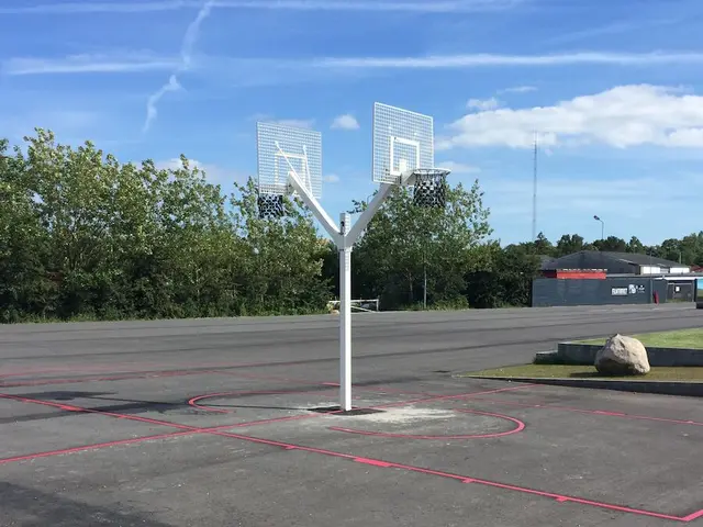 Goliath basketballstativ dobbelt L304 x B120 x H378 cm 