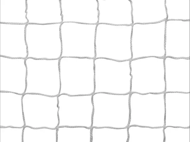 Classic målnett til fotballmål 11'er B732 x D200/80 x H244 cm 