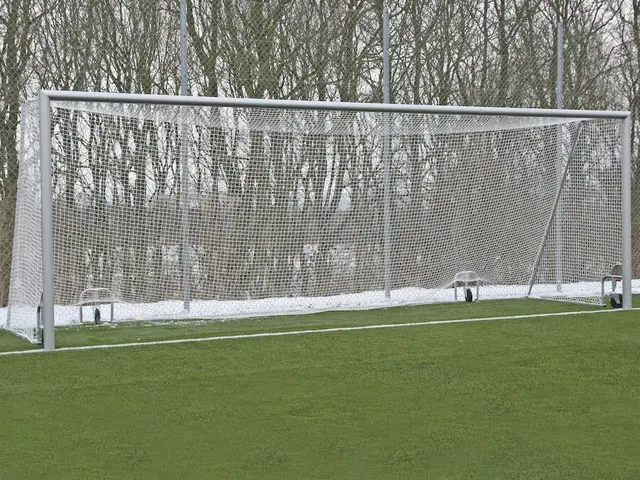 Smartlift fotballmål 11'er B732 x D200 x H244 cm 