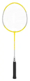 Badmintonrackert skole