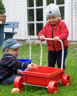 Gåvogn L48 x H48 cm