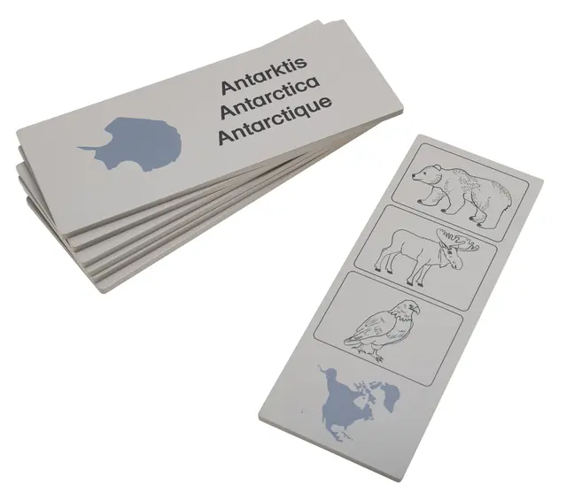 Dyr og kontinent sett 37 deler 