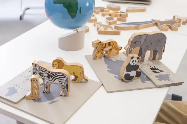 Dyr og kontinent sett 37 deler 