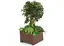 Rebnew plantekasse kvadrat liten L60 x B60 X H48 cm