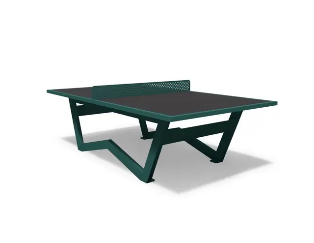 Ignite bordtennisbord L274 x B152 x H76 cm 