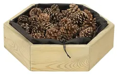 Oasis sensorisk kasse L41 x B37 x  H11 cm