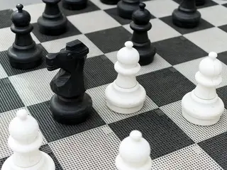 Sjakkfelt stor L300 x B300 cm