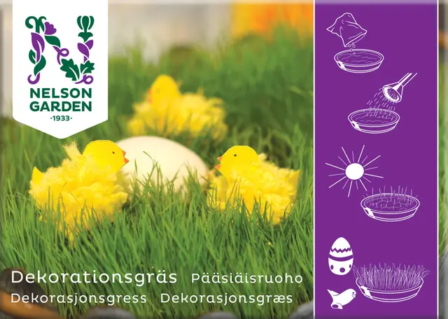 Dekorasjonsgressfrø 