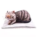 Sensorisk Katt H24 x L34 cm