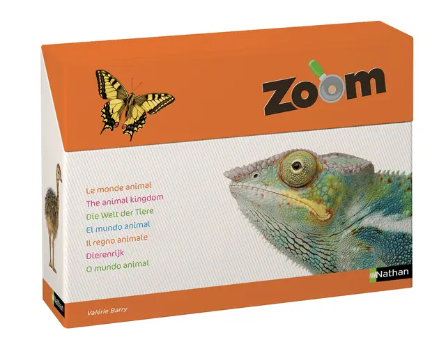 Fotokort Zoom dyr 64 dobbeltsidige kort 