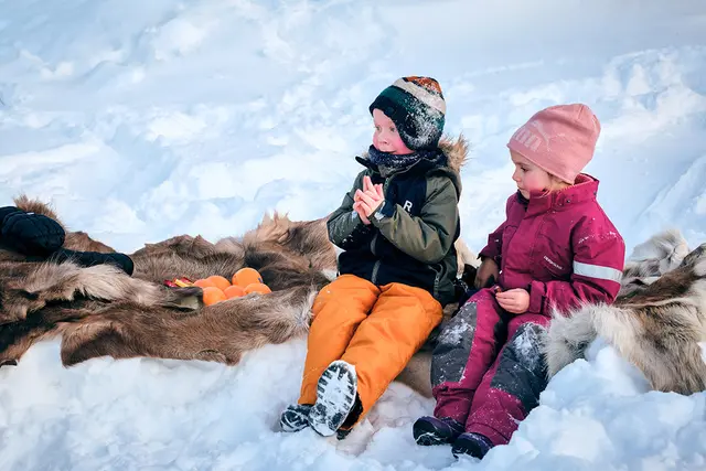 Reinsdyrskinn L120 x B90 cm 