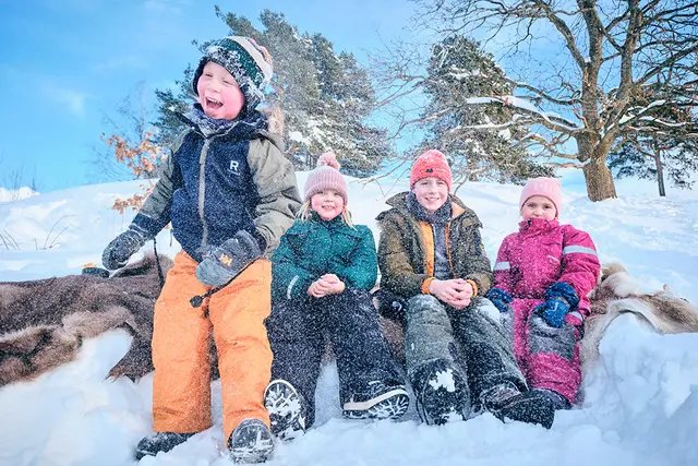 Reinsdyrskinn L120 x B90 cm 