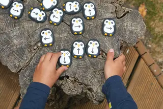 Pingviner kodesteiner