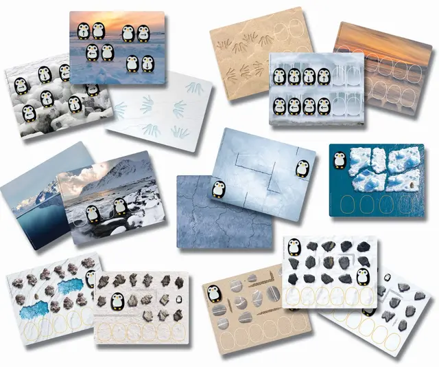 Pingviner kodesteiner 