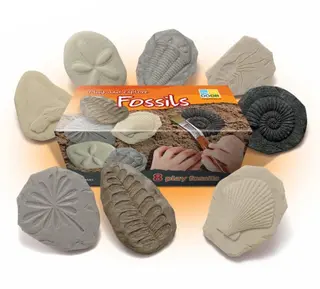 Fossiler i stein 8 stk