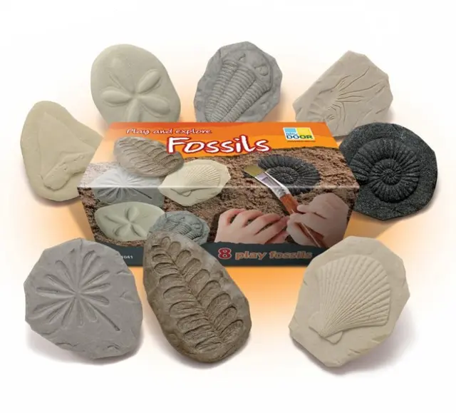 Fossiler i stein 8 stk 