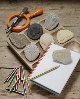 Fossiler i stein 8 stk