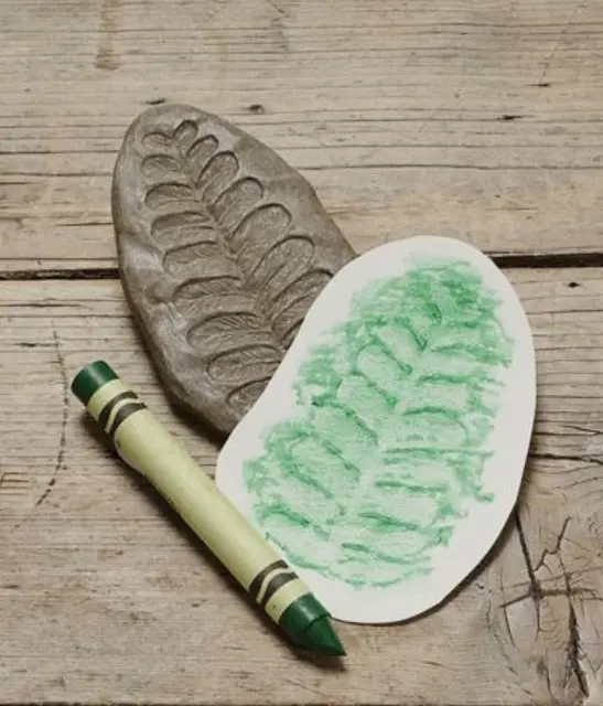 Fossiler i stein 8 stk 