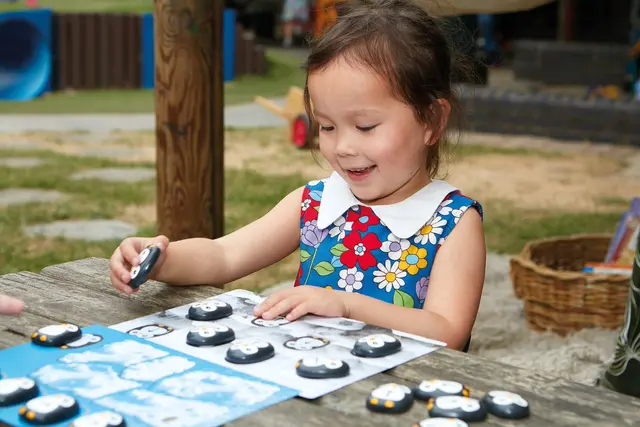 Pingviner kodesteiner sett 