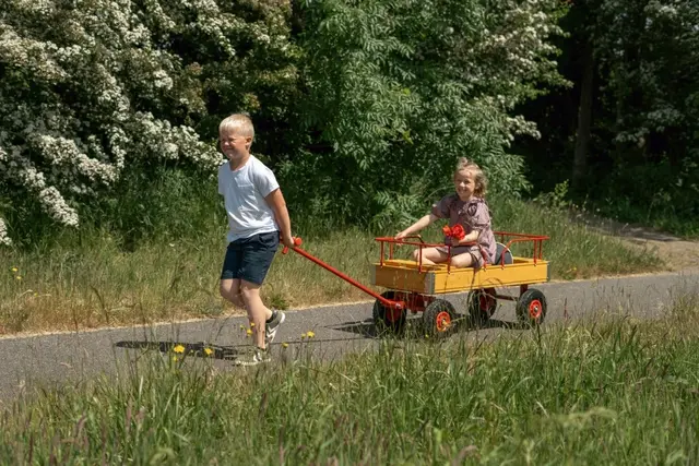 ROSE dravogn med 3 seter L115 x B48 x H59 cm 