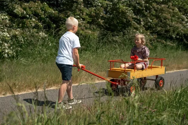 ROSE dravogn med 3 seter L115 x B48 x H59 cm 